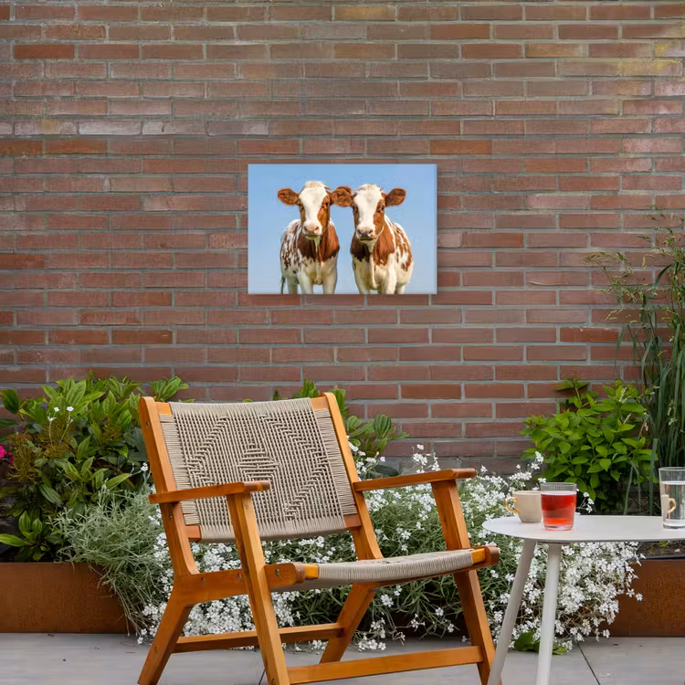 Buiten canvas - Twee kalveren in de weide — 2