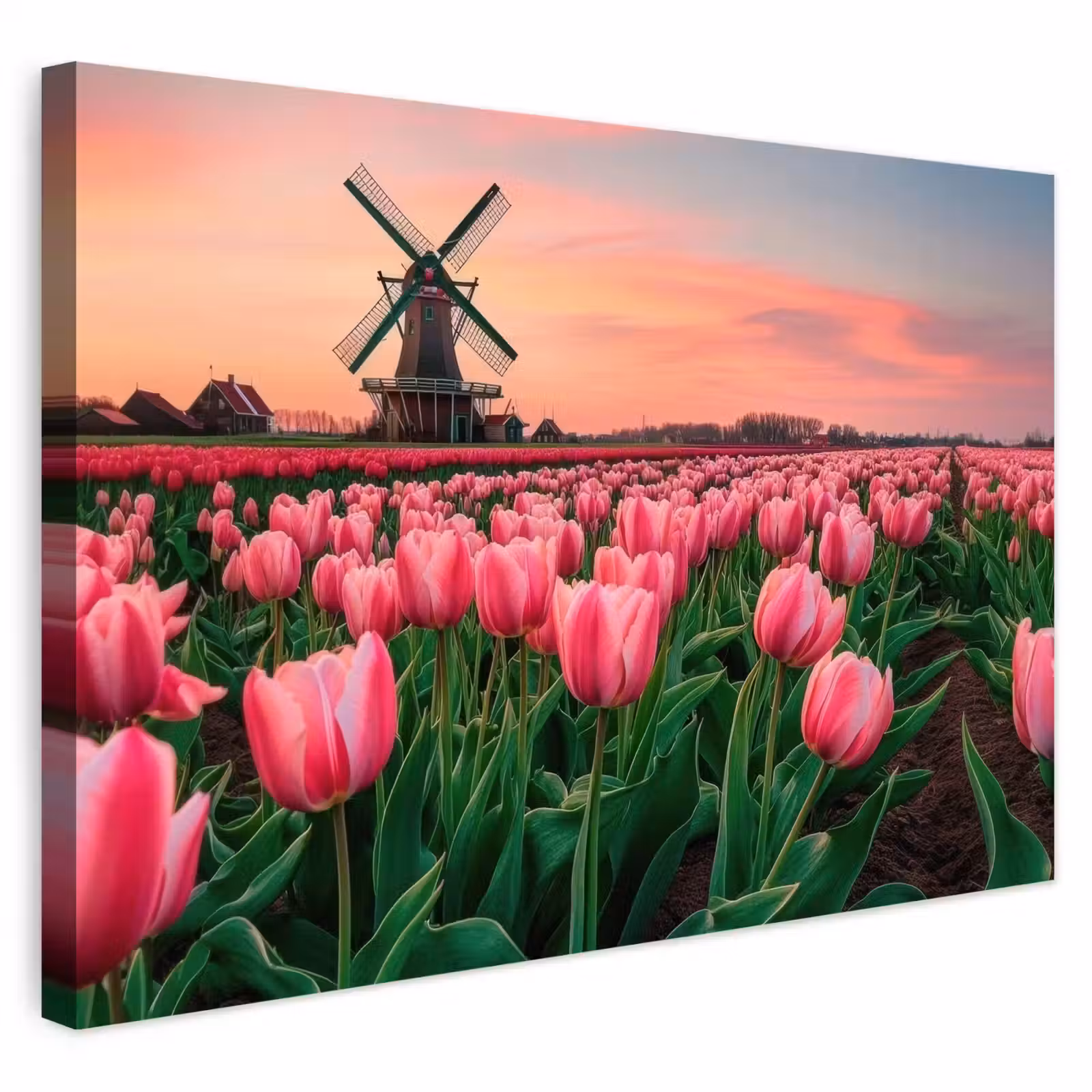 Buiten canvas - Tulpen - Molen - Nederland — 1