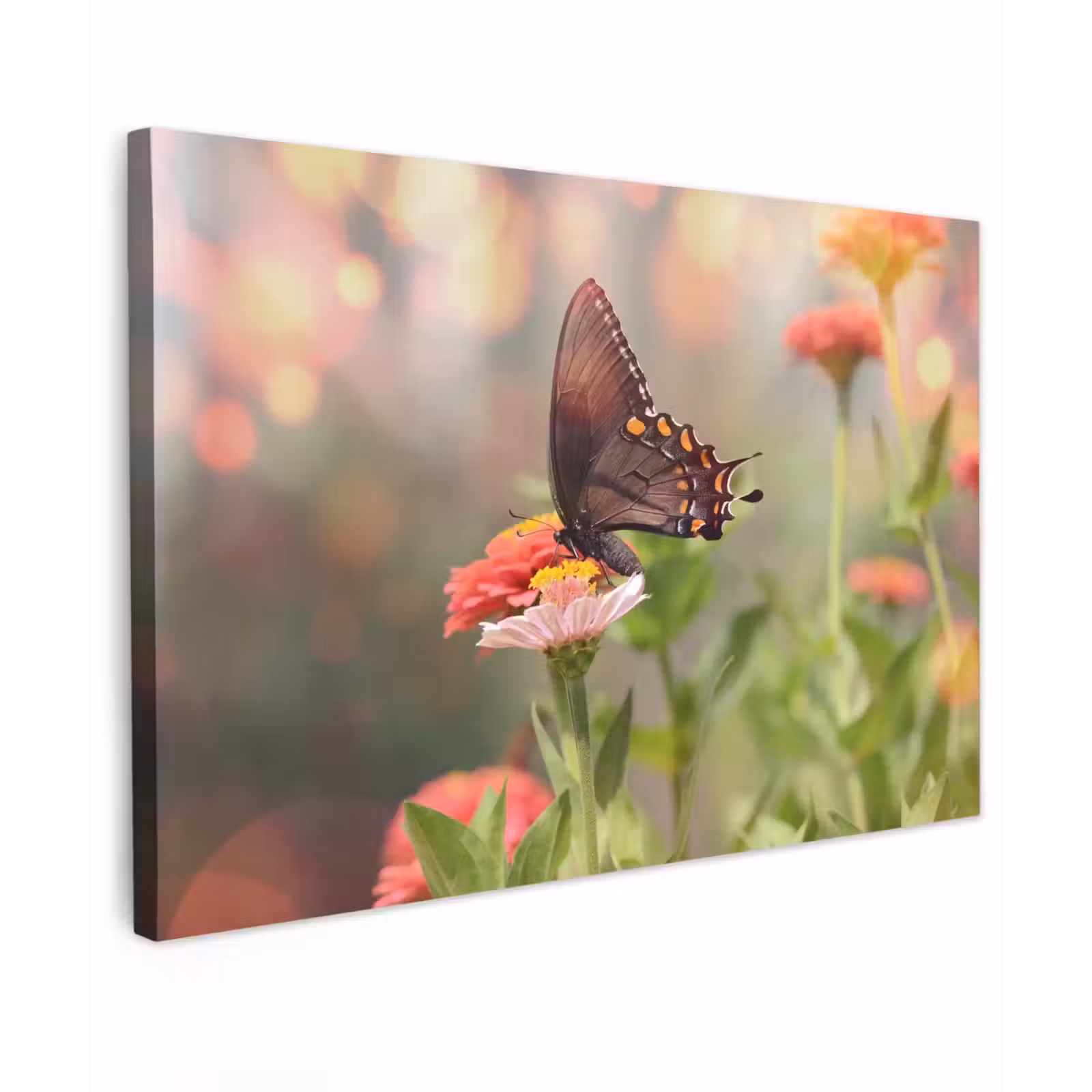 Buiten canvas - Vlinder op zomerbloem — 1