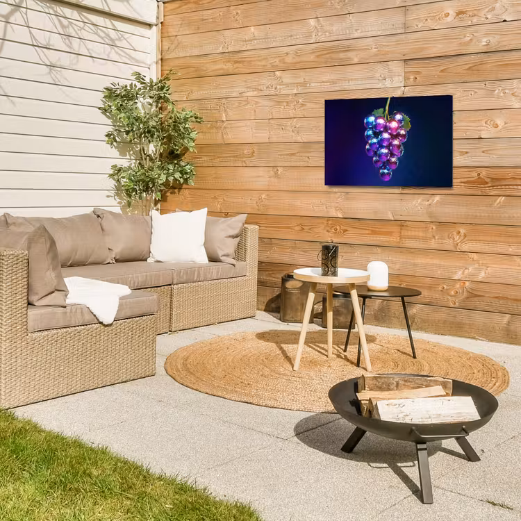 Buiten canvas - Paars - Disco - Feest - Druif — 5