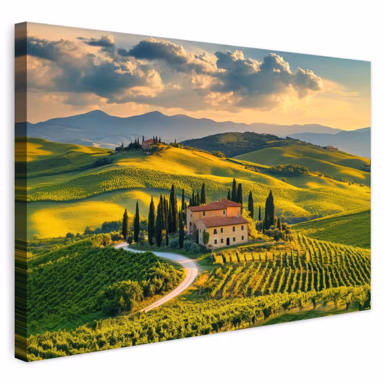 Buiten canvas - Toscane - Landschap - Wijngaarden — 1