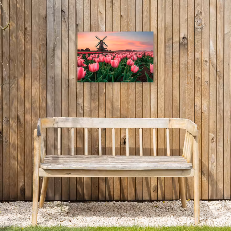 Buiten canvas - Tulpen - Molen - Nederland — 3