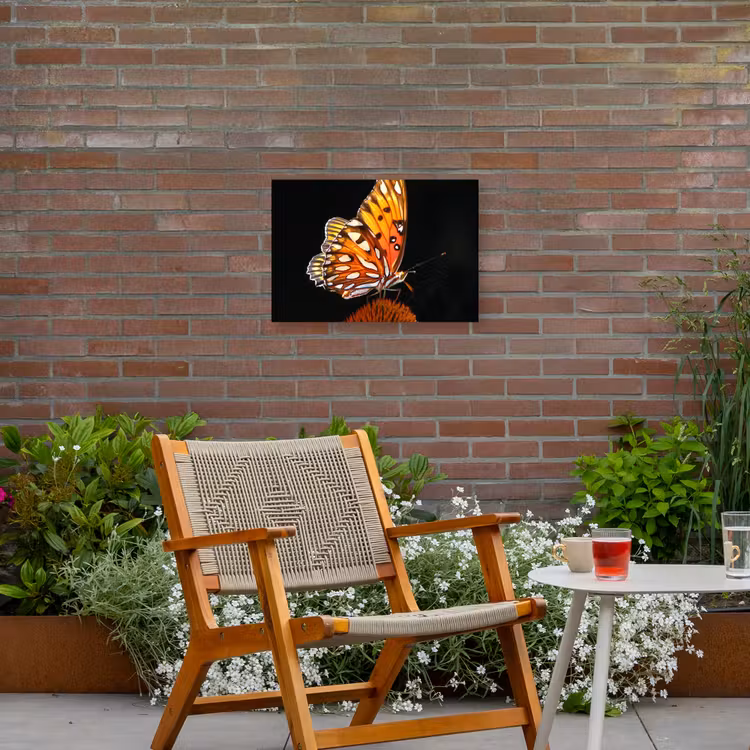 Buiten canvas - Vlinder op bloem — 2