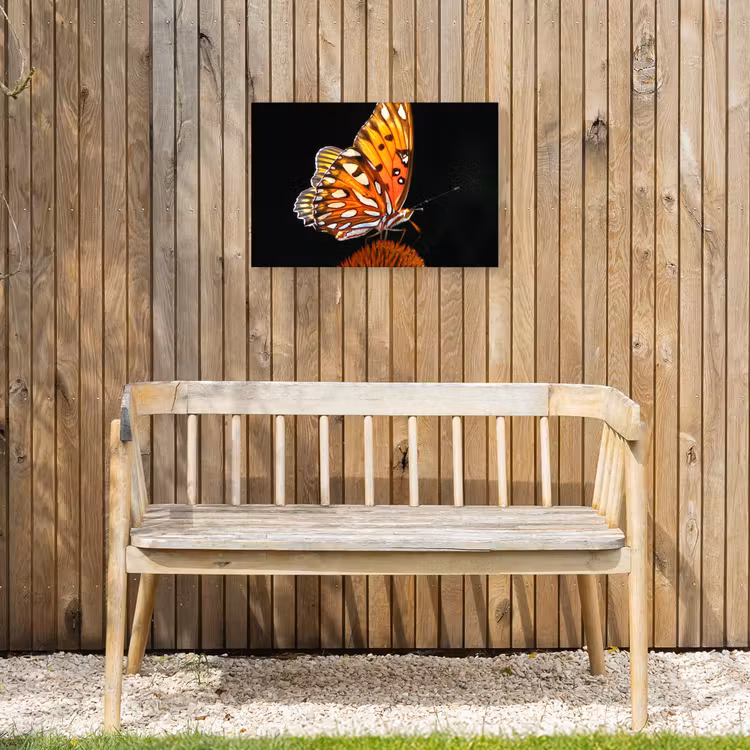 Buiten canvas - Vlinder op bloem — 3