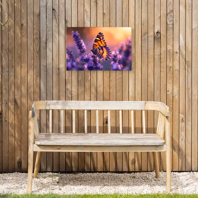 Buiten canvas - Vlinder op lavendel bij zonsondergang — 3