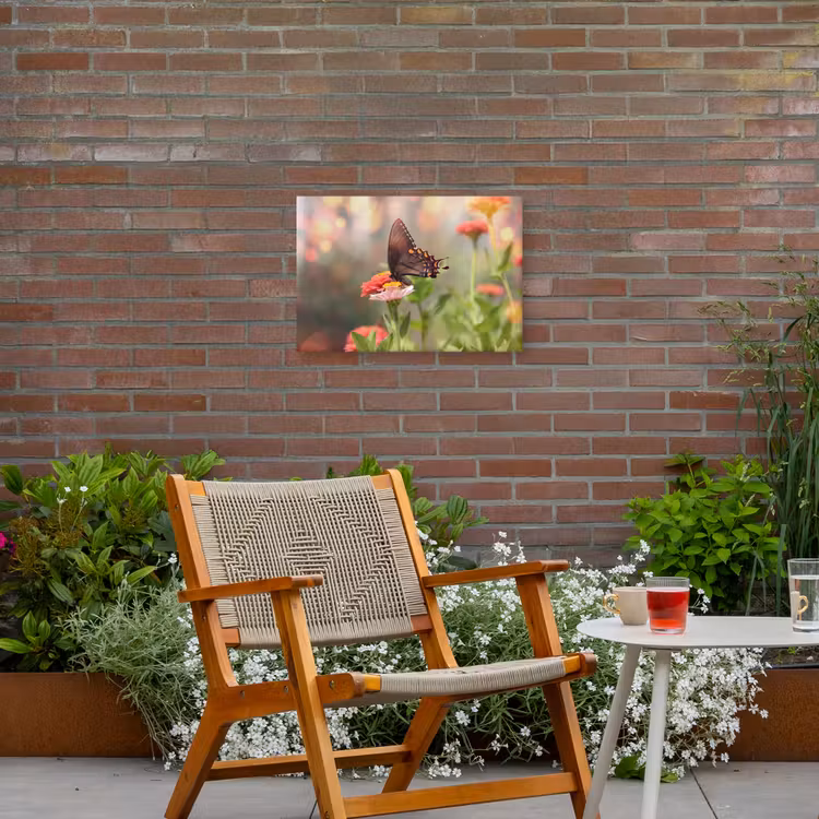 Buiten canvas - Vlinder op zomerbloem — 2