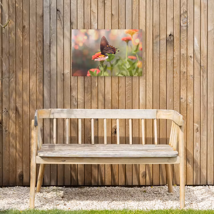 Buiten canvas - Vlinder op zomerbloem — 3