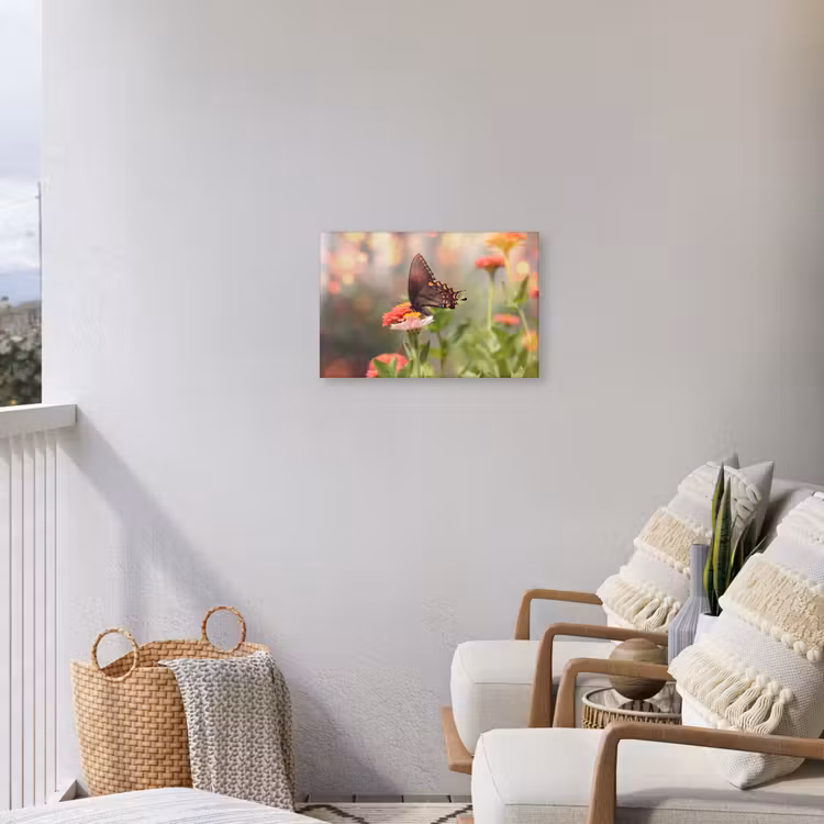 Buiten canvas - Vlinder op zomerbloem — 4