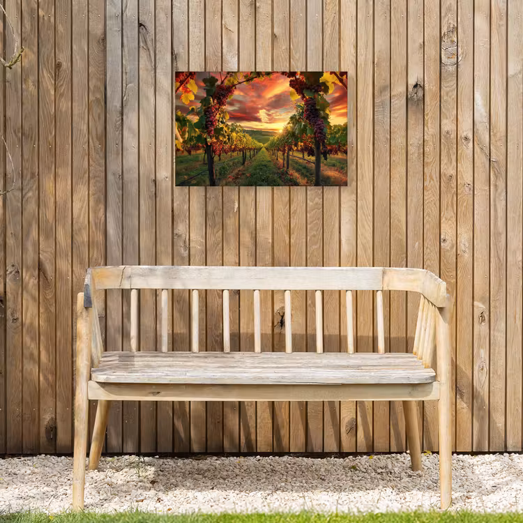 Buiten canvas - Wijngaard - Druiven - Zonsondergang — 3