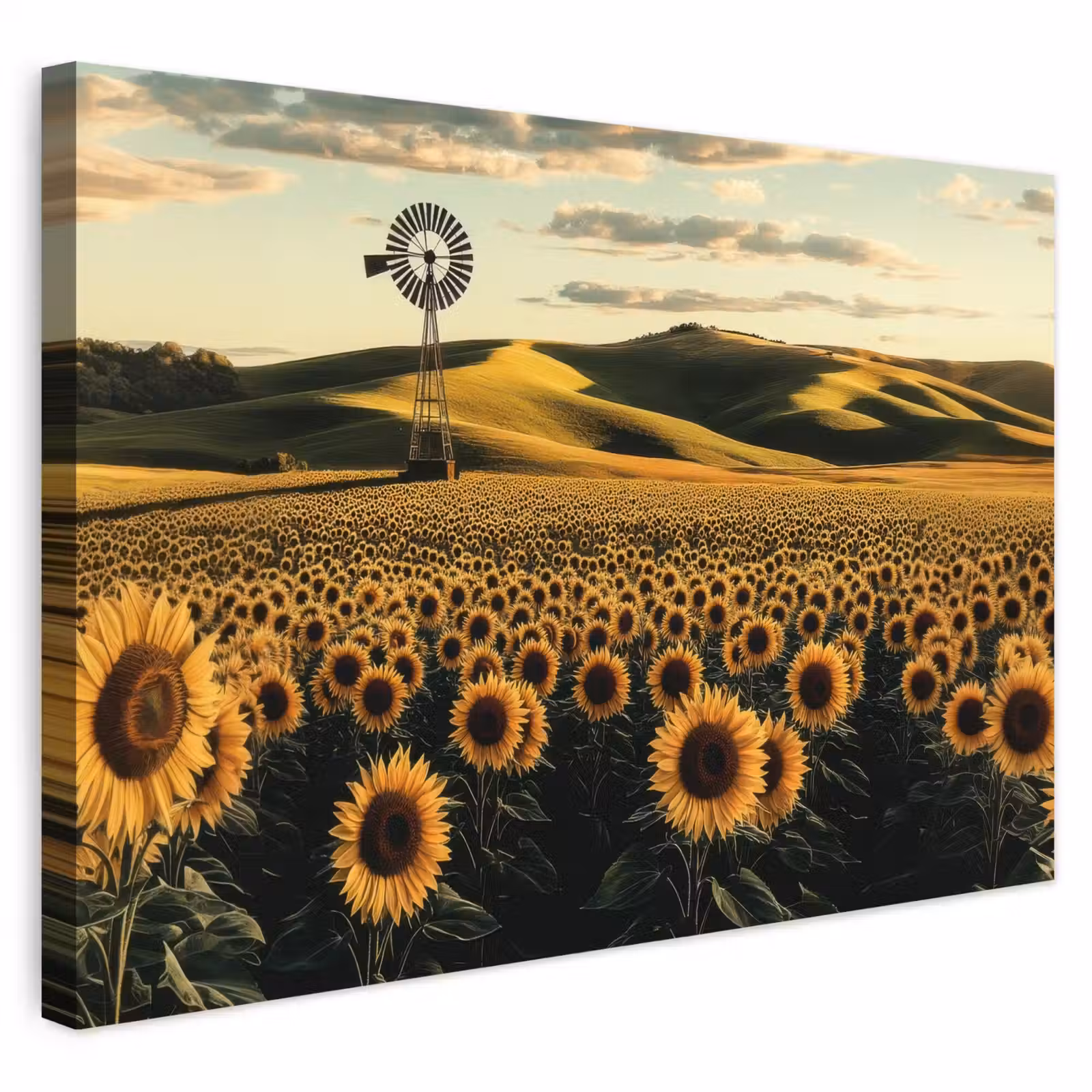 Buiten canvas - Zonnebloem - Veld - Windmolen — 1