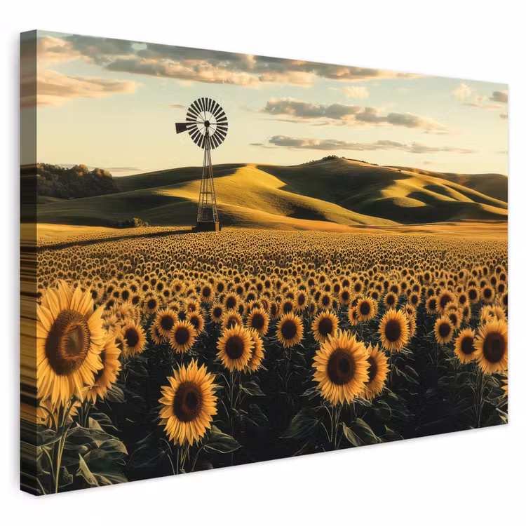 Buiten canvas - Zonnebloem - Veld - Windmolen — 1