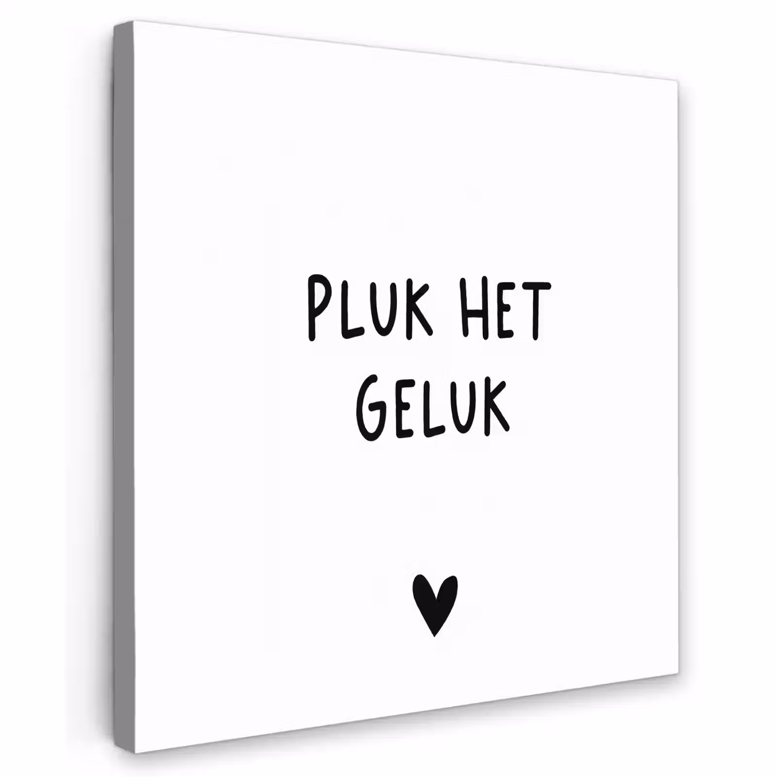 Buiten canvas - Quotes - Pluk het geluk - Spreuken — 1