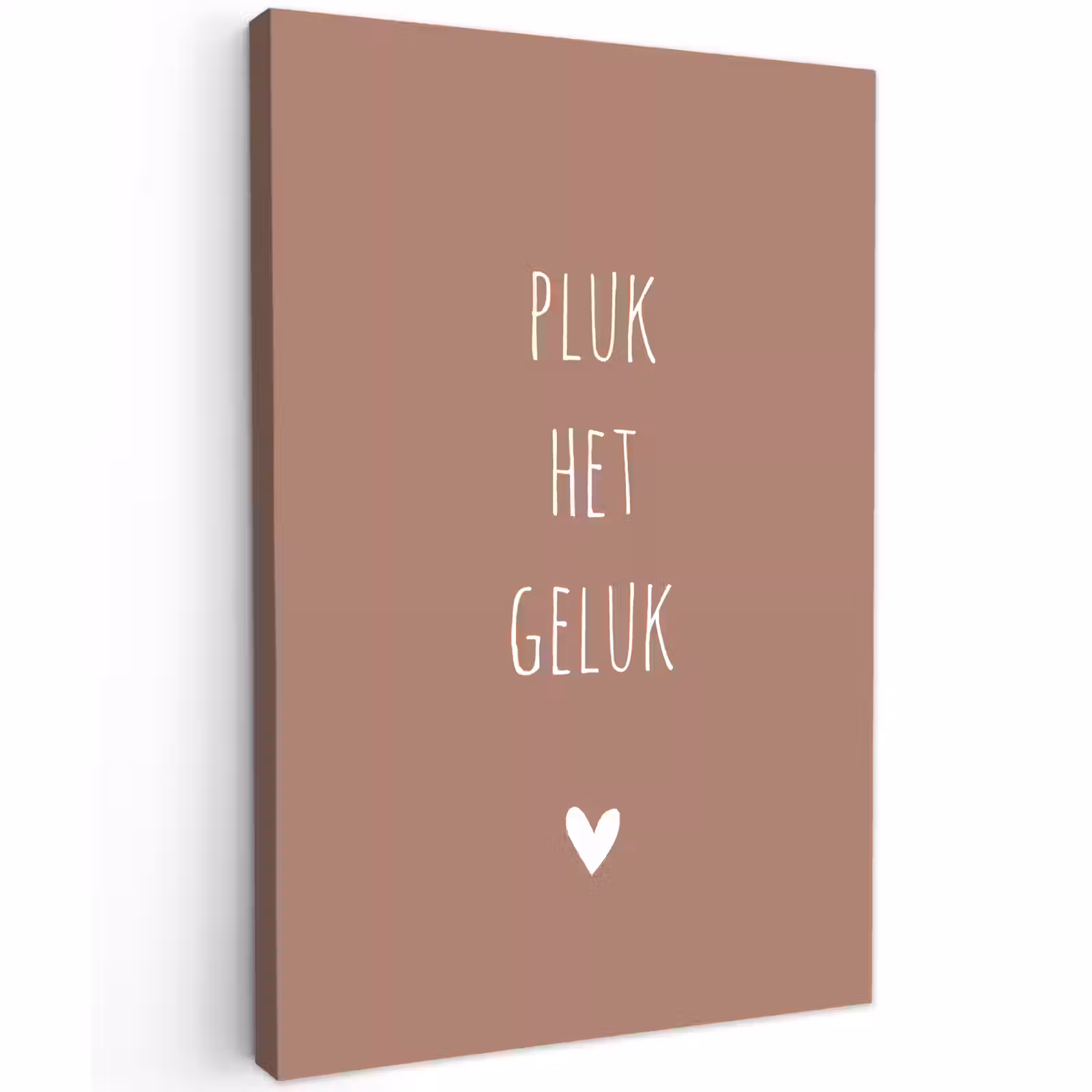 Buiten canvas - Spreuken - Pluk het geluk - Quotes — 1