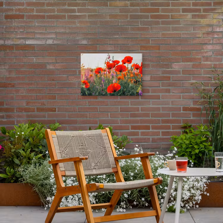 Buiten canvas - Rode klaprozen in de avondzon — 2