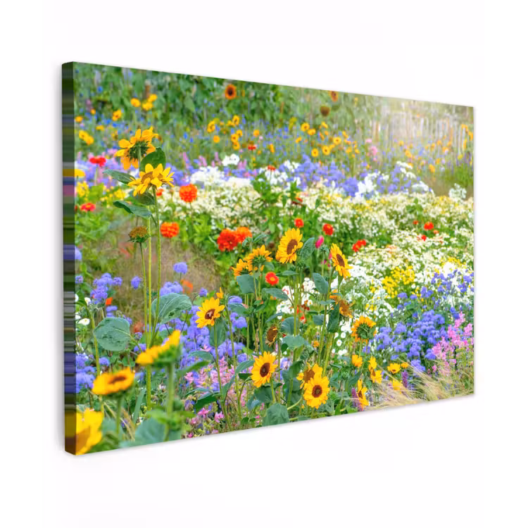 Buiten canvas - Zomerbloemen in volle bloei — 1