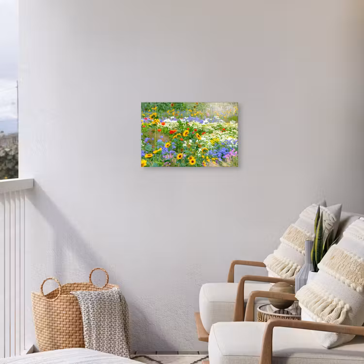 Buiten canvas - Zomerbloemen in volle bloei — 4
