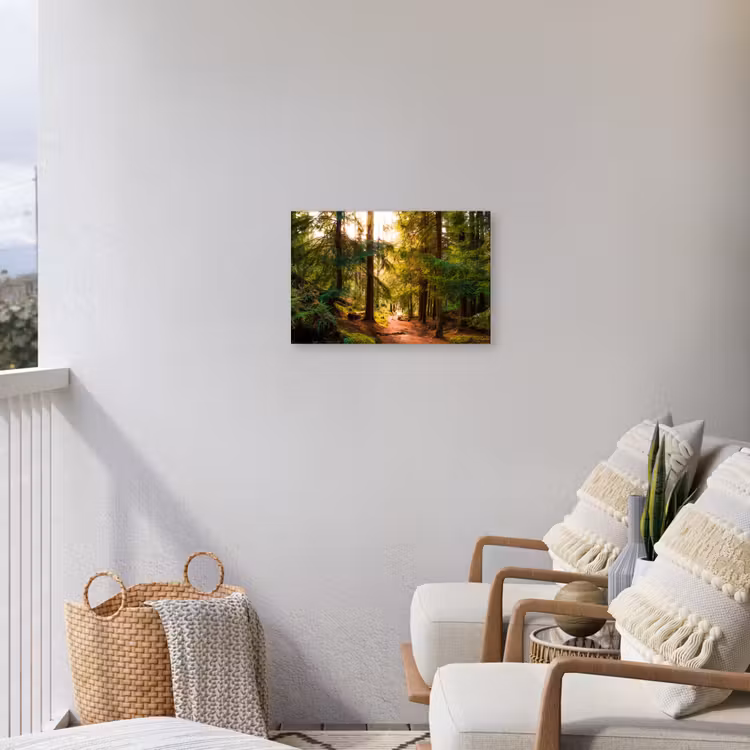 Buiten canvas - Mossig bospad — 4
