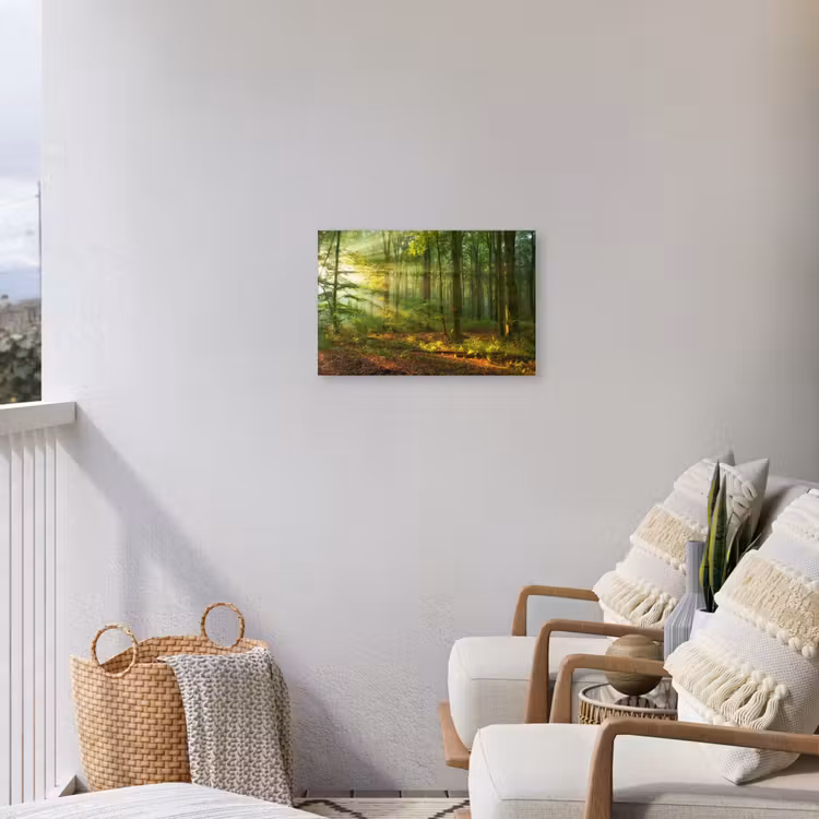 Buiten canvas - Ochtendlicht in het bos — 4