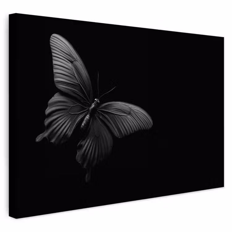 Buiten canvas - Vlinder - Zwart - Insect - Dieren — 1