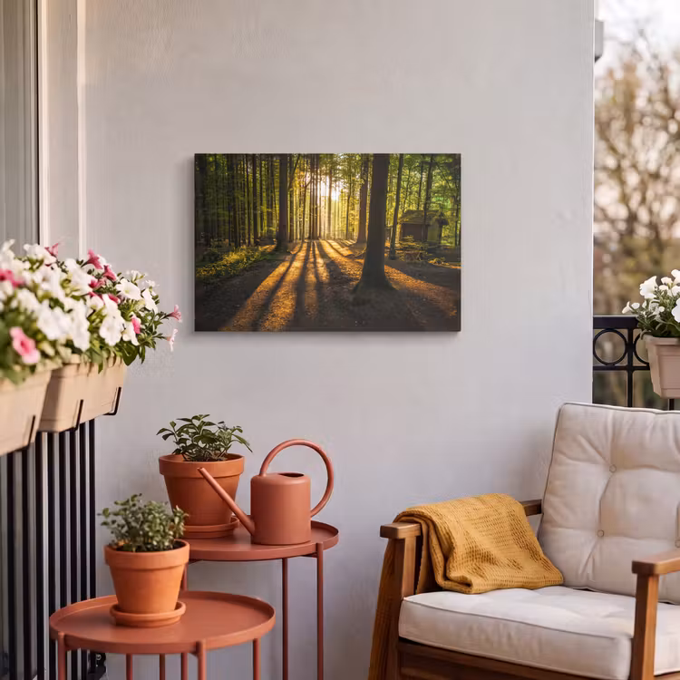 Buiten canvas - Zon - Bomen - Bos - Landschap - Natuur — 4