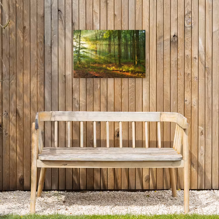 Buiten canvas - Zon - Bos - Bomen - Natuur - Herfst — 3