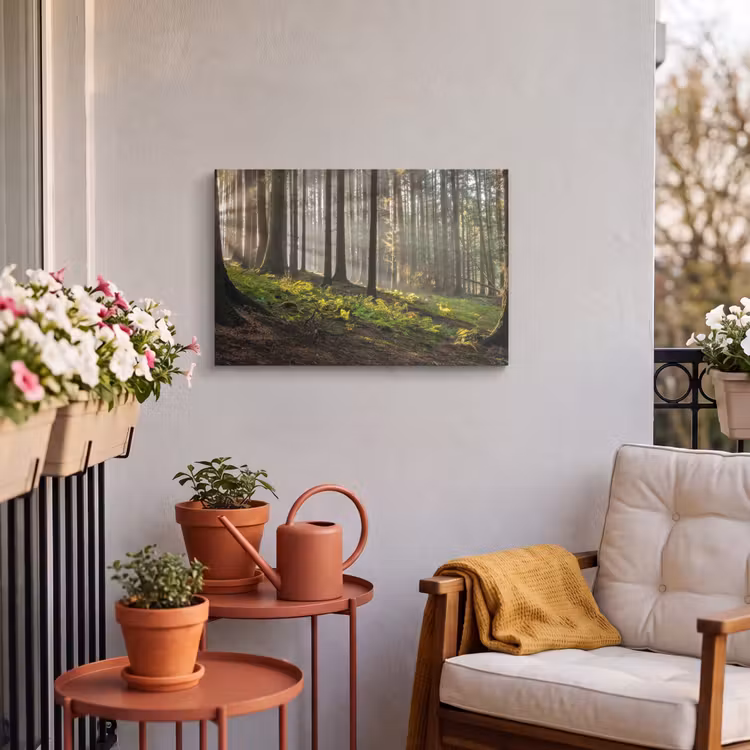 Buiten canvas - Zon - Takken - Bomen - Bos - Natuur — 3