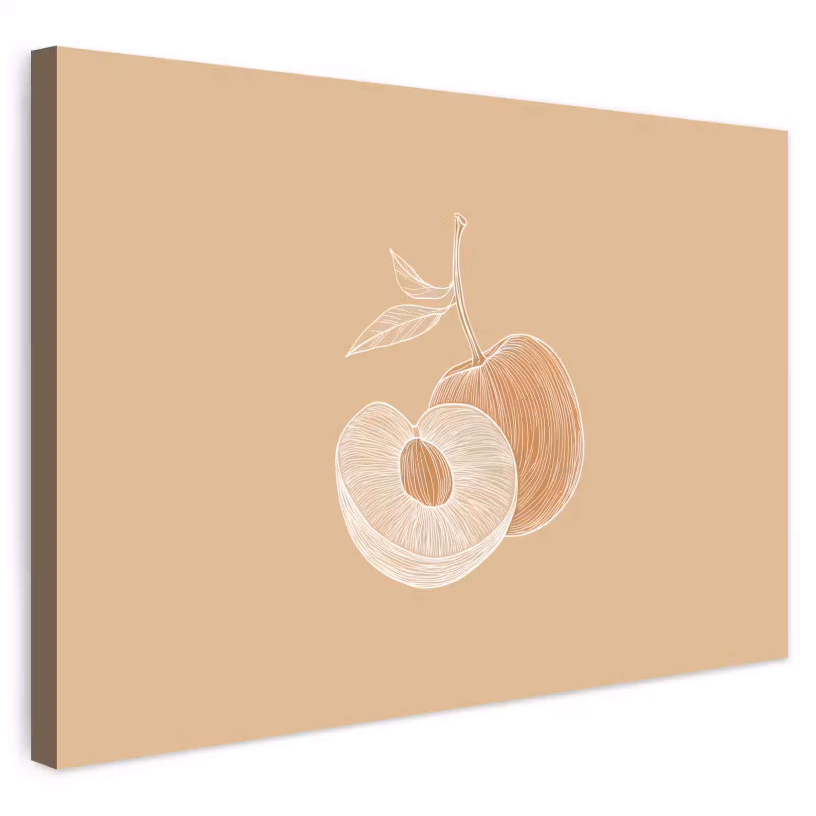 Buiten canvas - Perzik - Lijntekening - Pit - Beige — 1