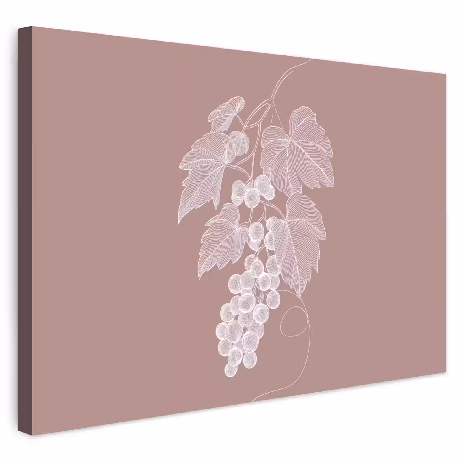 Buiten canvas - Tros - Druiven - Illustratie - Bladeren — 1