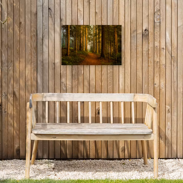 Buiten canvas - Pad door majestueus dennenbos — 3