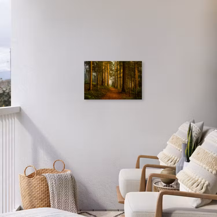 Buiten canvas - Pad door majestueus dennenbos — 4