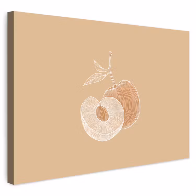 Buiten canvas - Perzik - Lijntekening - Pit - Beige — 1