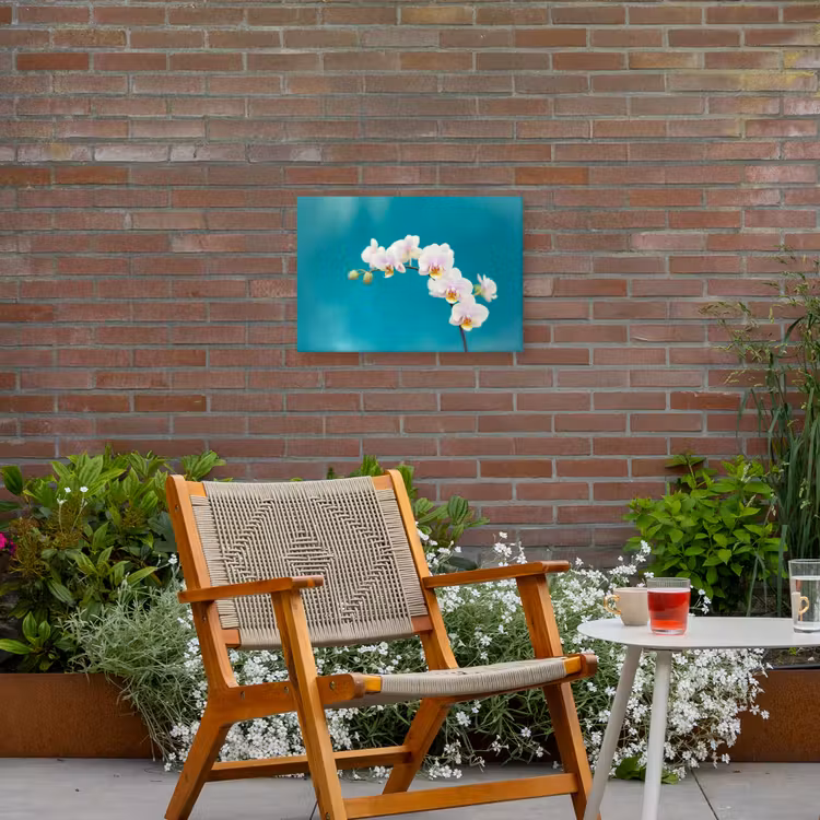Buiten canvas - Orchidee - Bloemen - Plant - Wit - Paars — 2