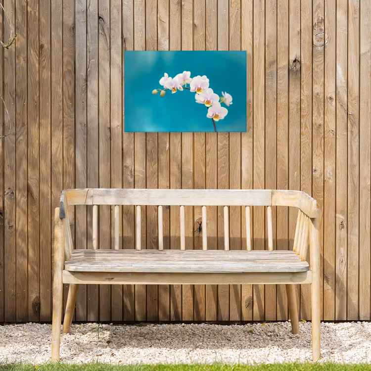 Buiten canvas - Orchidee - Bloemen - Plant - Wit - Paars — 3