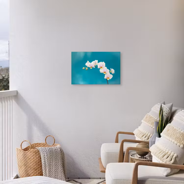 Buiten canvas - Orchidee - Bloemen - Plant - Wit - Paars — 4