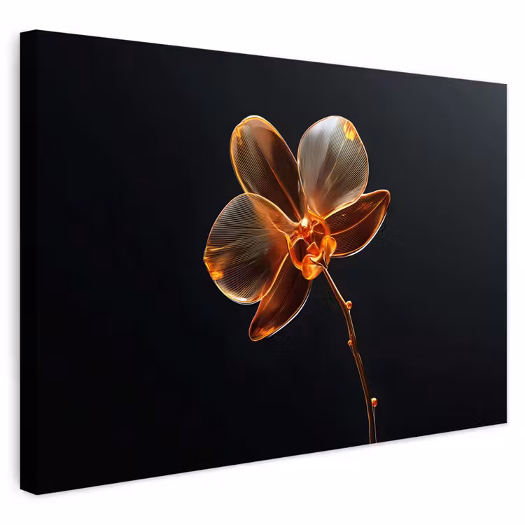 Buiten canvas - Orchidee - Doorzichtig - Bloem — 1