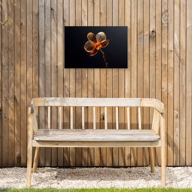 Buiten canvas - Orchidee - Doorzichtig - Bloem — 3