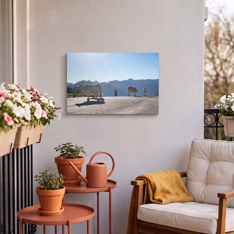 Buiten canvas - Schotse hooglander - Licht - Berg - Natuur — 3