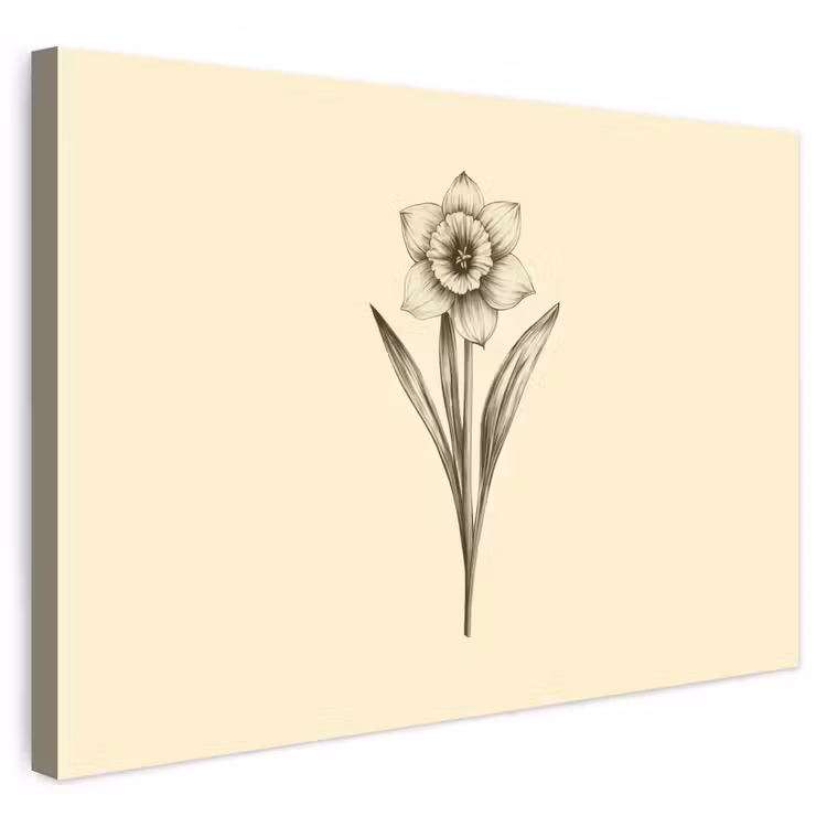 Buiten canvas - Zwart - Narcis - Illustratie — 1