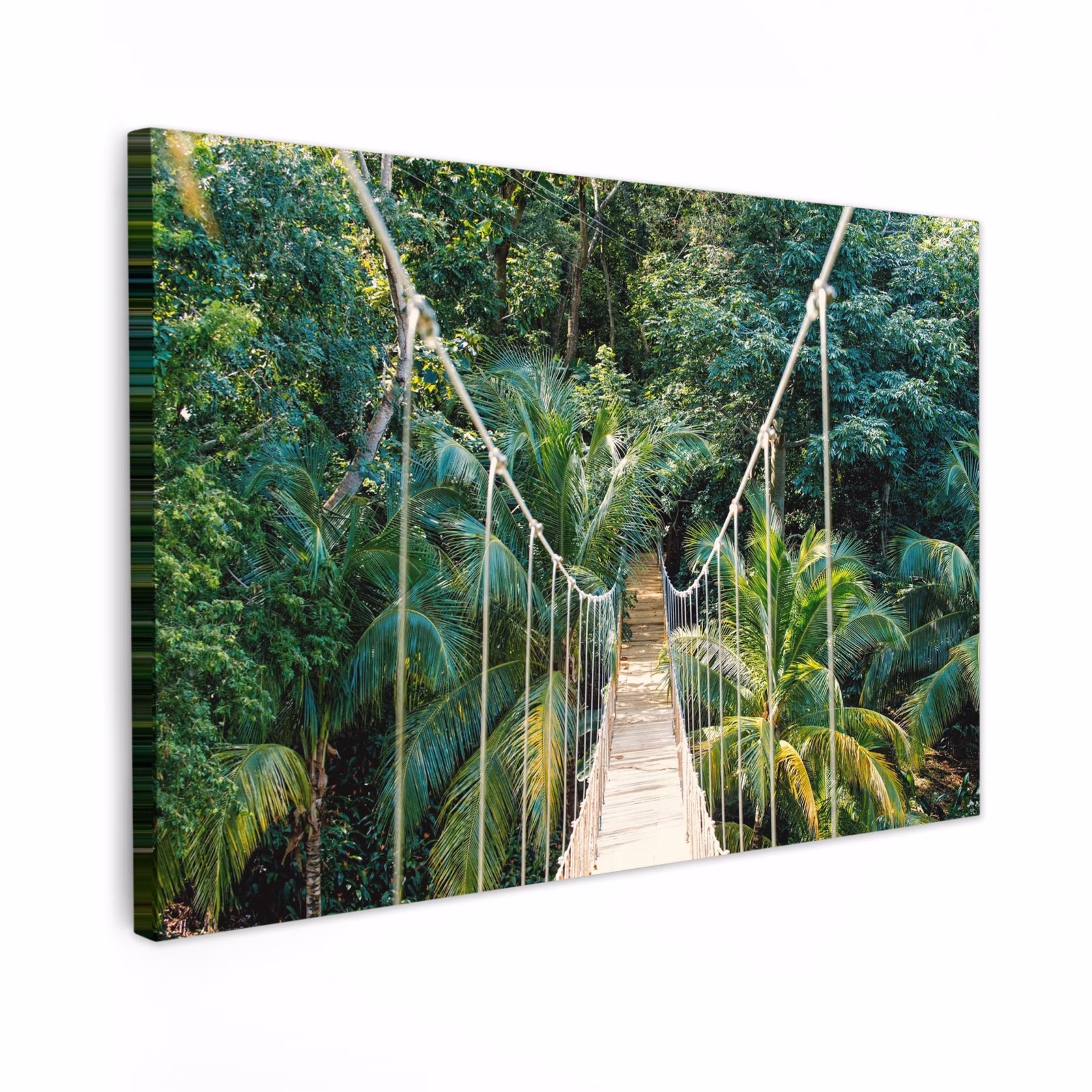 Buiten canvas - Touwbrug in het Tropisch Woud — 1