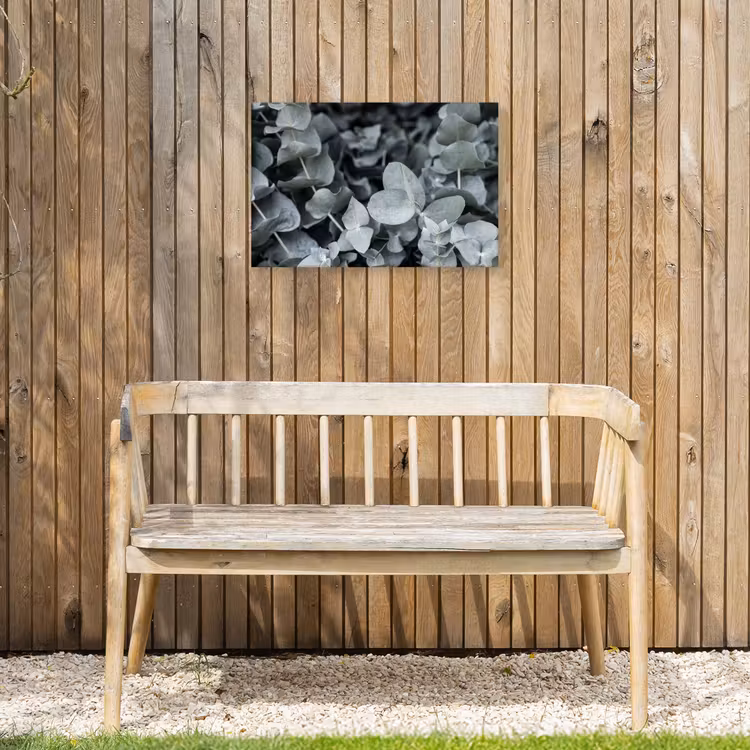 Buiten canvas - Natuur - Planten - Eucalyptus - Bladeren — 3