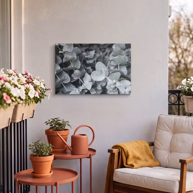 Buiten canvas - Natuur - Planten - Eucalyptus - Bladeren — 4