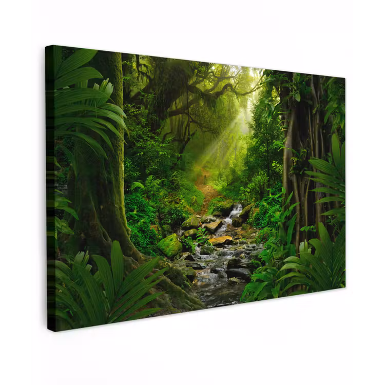 Buiten canvas - Pad door het Regenwoud — 1