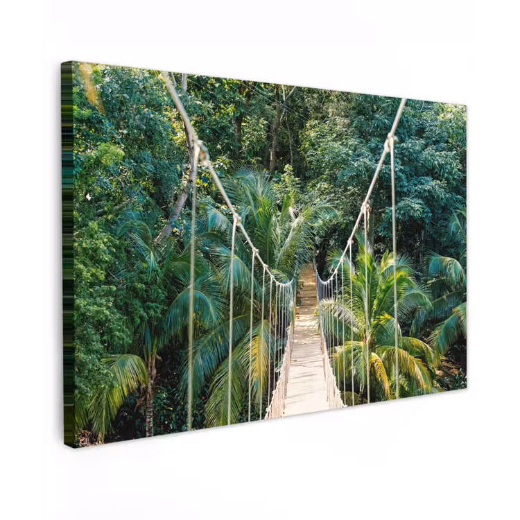 Buiten canvas - Touwbrug in het Tropisch Woud — 1