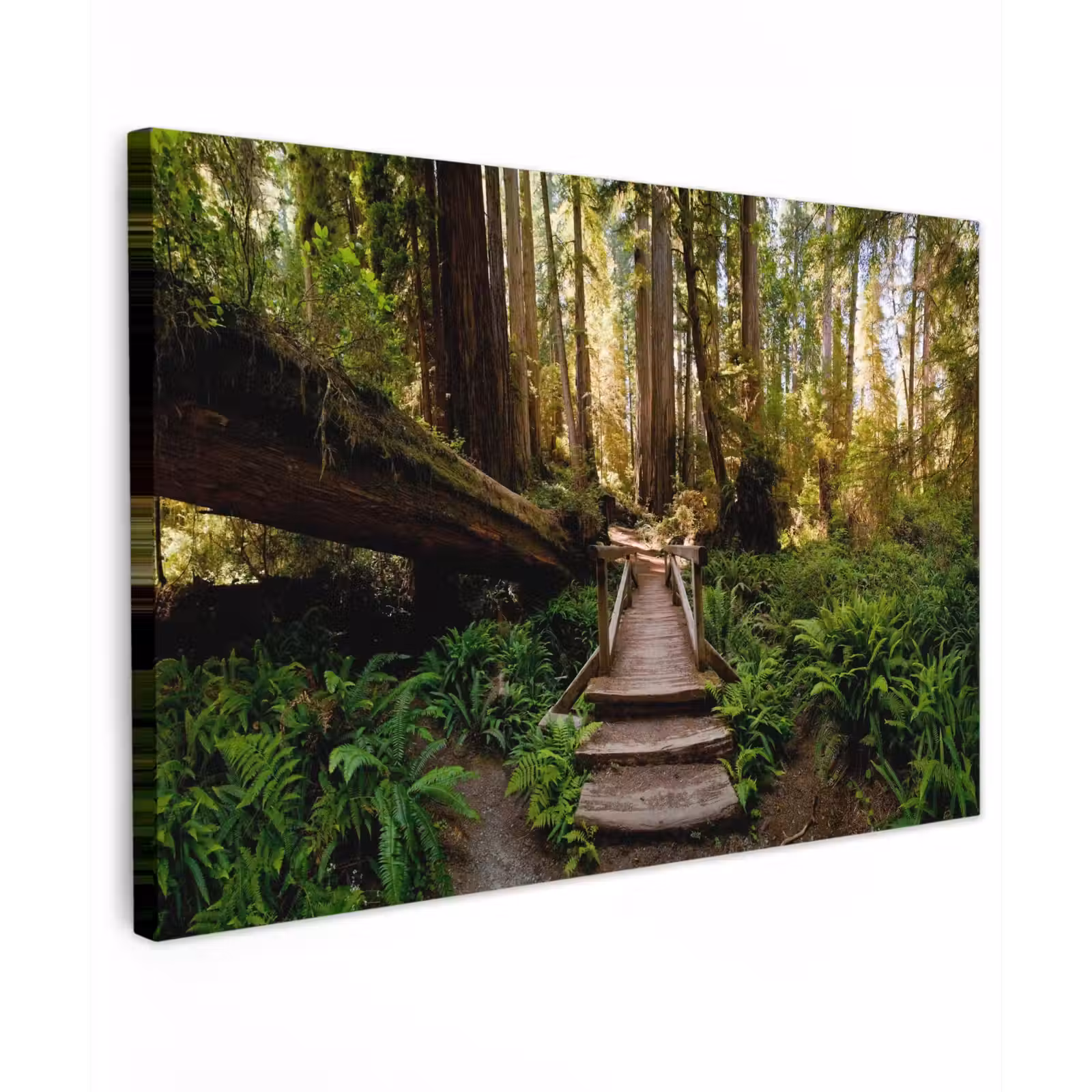 Buiten canvas - Verloren Brug in het Woud — 1