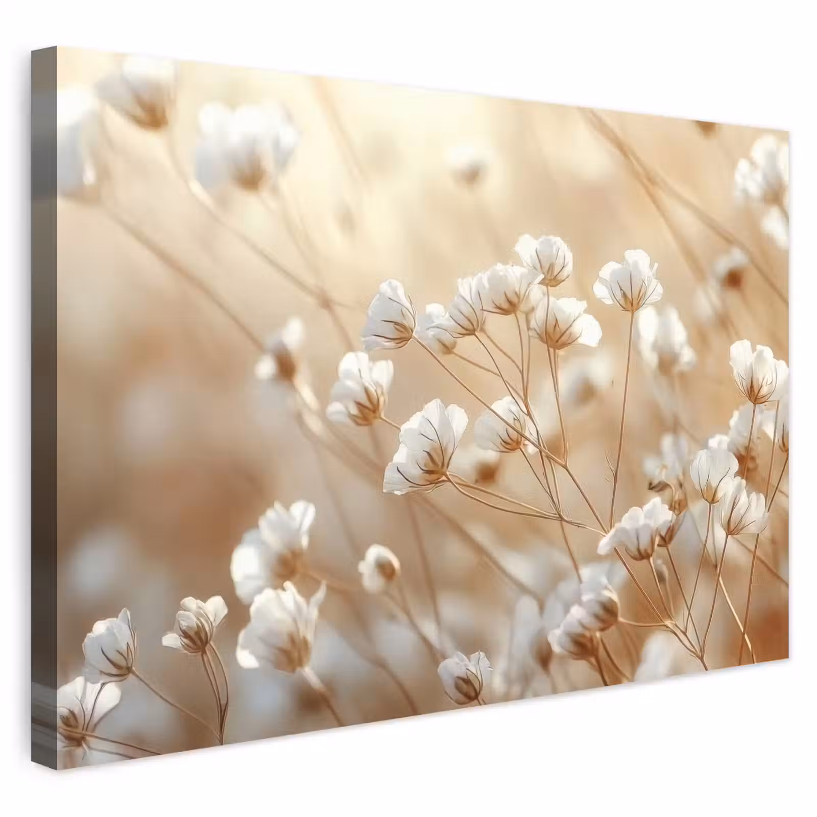 Buiten canvas - Wilde - Bloemen - Wit — 1