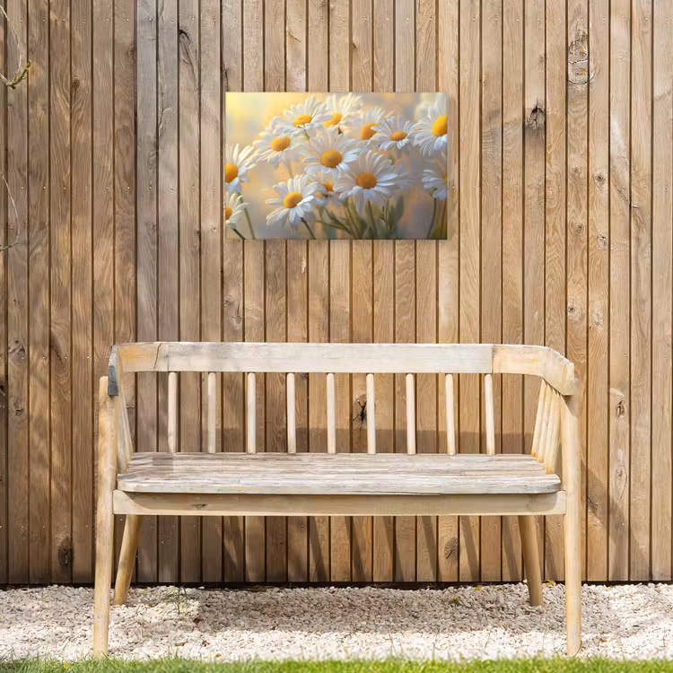 Buiten canvas - Madeliefjes - Wit - Zonlicht — 3