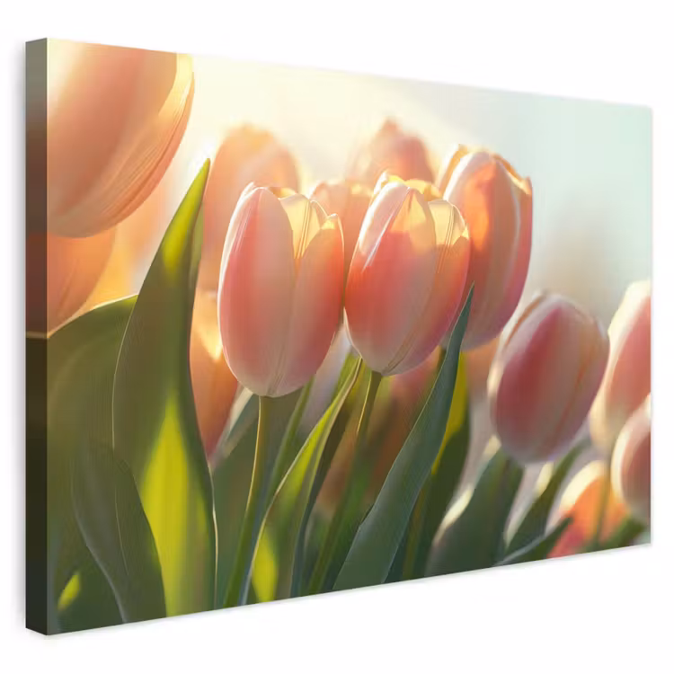 Buiten canvas - Tulpen - Roze - Zonnestralen — 1