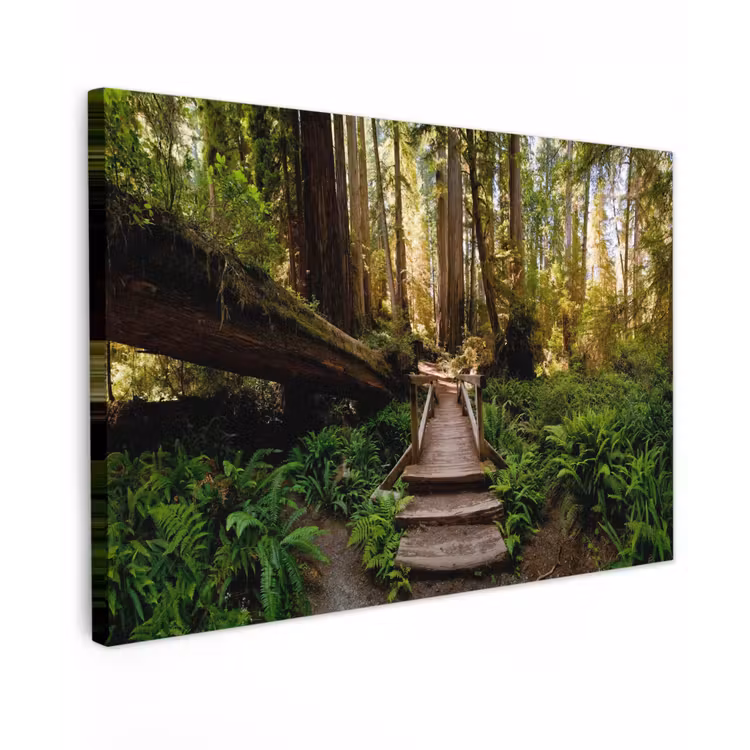 Buiten canvas - Verloren Brug in het Woud — 1