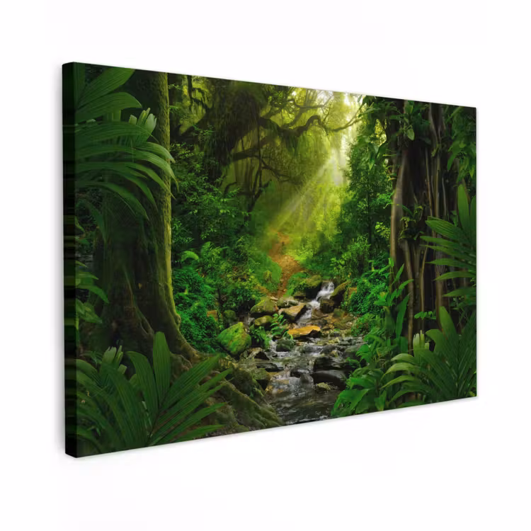 Buiten canvas - Zonnige Stralen in het Regenwoud — 1