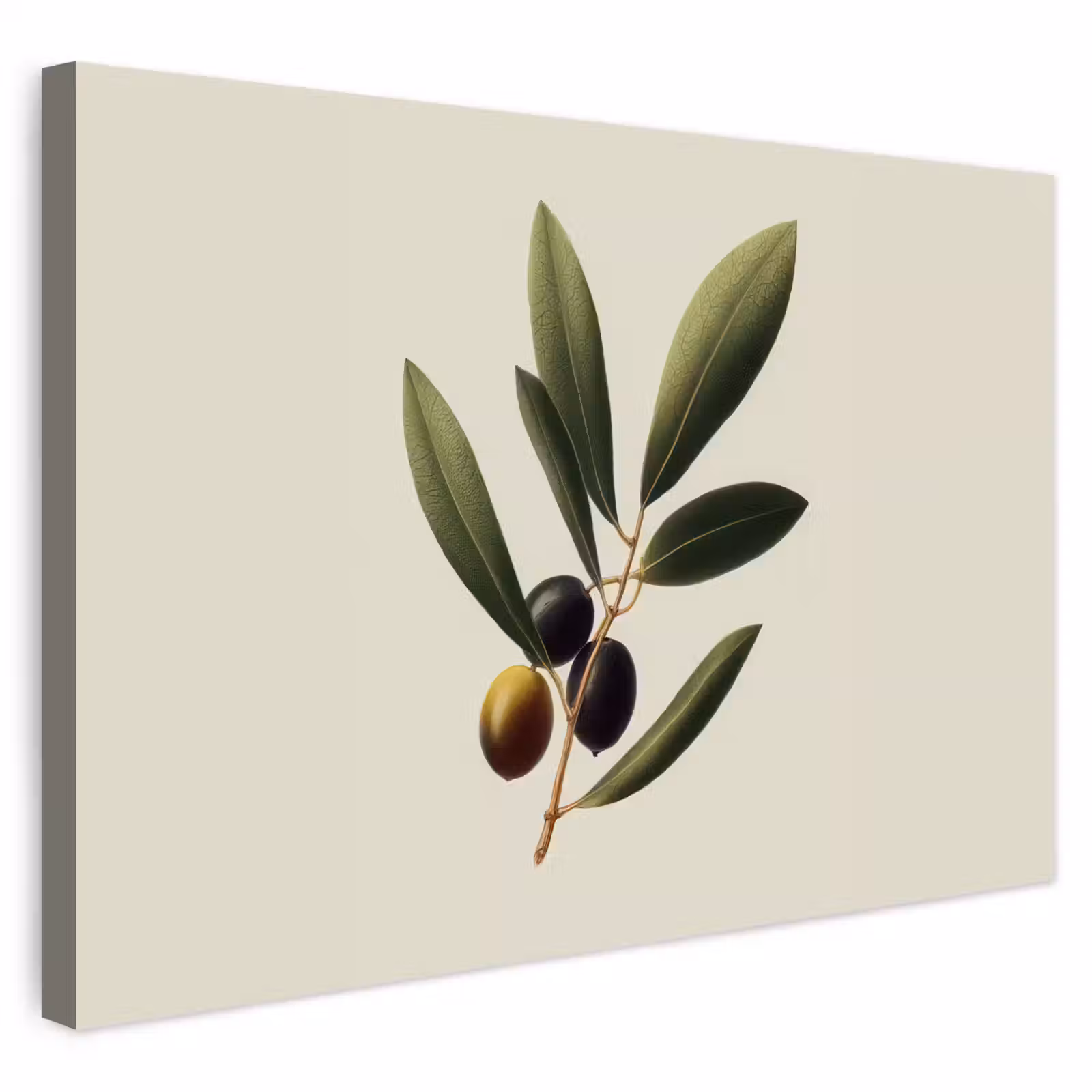 Buiten canvas - Olijftak - Donkergroen - Olijven — 1